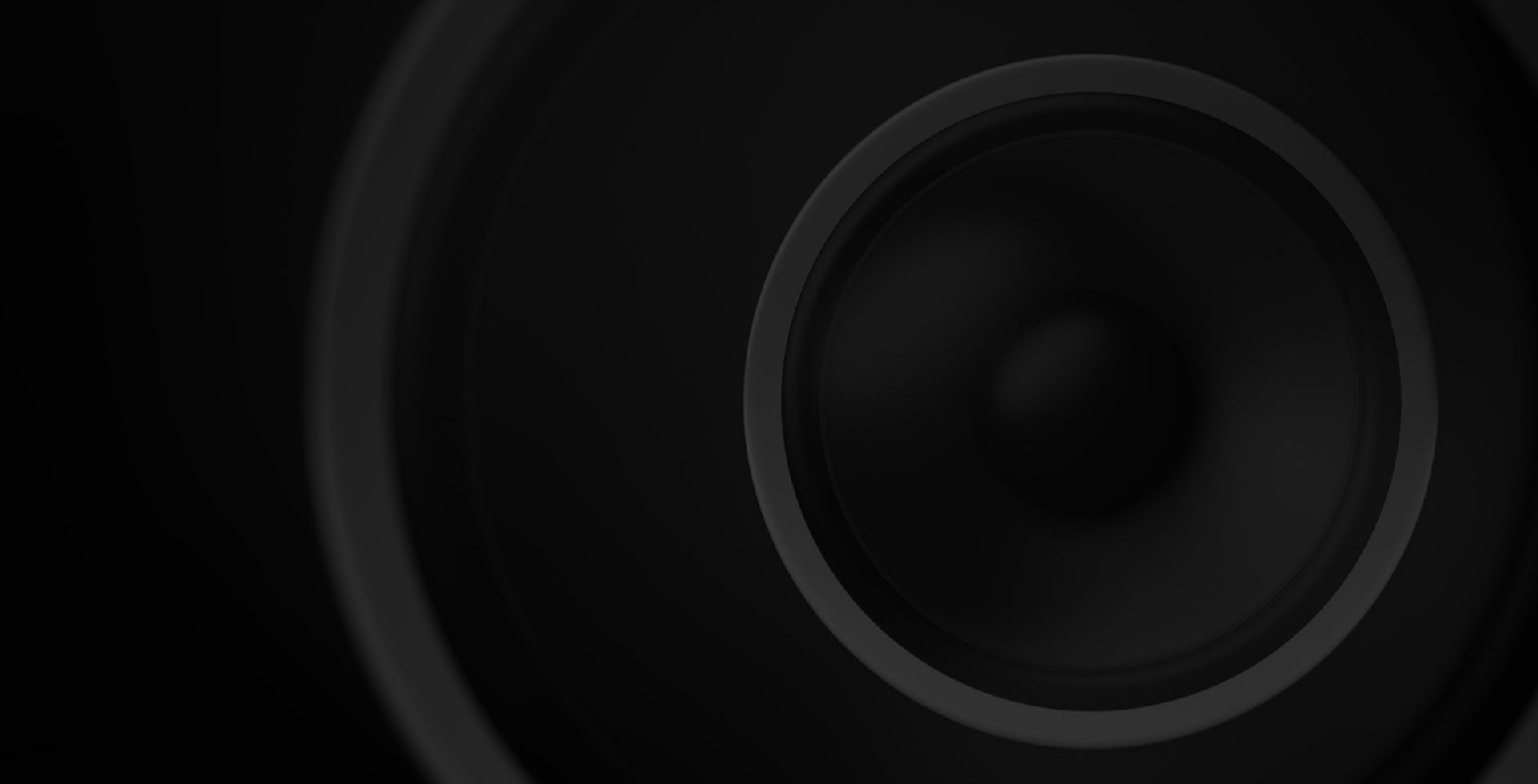 Jiaxing DIBEISI Electroacoustics Co.,Ltd.